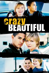 Poster to the movie "Crazy/Beautiful" #637520