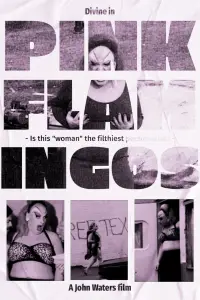 Poster to the movie "Pink Flamingos" #986507