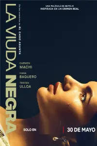 Poster to the movie "A Widow