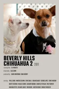 Poster to the movie "Beverly Hills Chihuahua 2" #723074