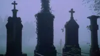 Backdrop to the movie "The Iron Rose" #782248