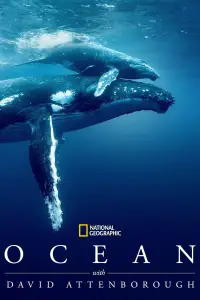 Poster to the movie "Ocean with David Attenborough" #990185