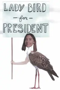 Poster to the movie "Lady Bird" #638857