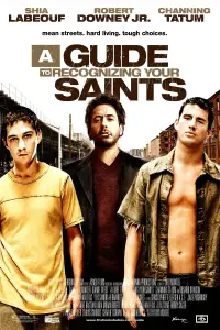 Poster to the movie "A Guide to Recognizing Your Saints" #950444