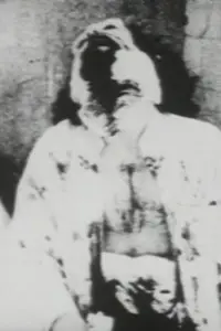 Poster to the movie "Begotten" #658979