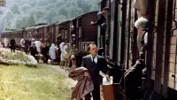 Backdrop to the movie "The Last Train" #861283