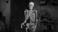 Backdrop to the movie "The Lost Skeleton of Cadavra" #889780