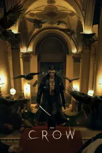 Poster to the movie "The Crow" #919324