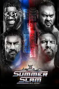 Poster to the movie "WWE SummerSlam 2025: Saturday" #816562