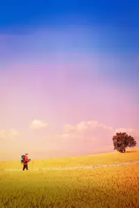 Poster to the movie "The Way, My Way" #1007048