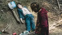 Backdrop to the movie "Swiss Army Man" #252557