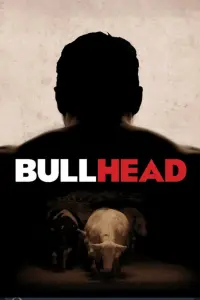 Poster to the movie "Bullhead" #639643