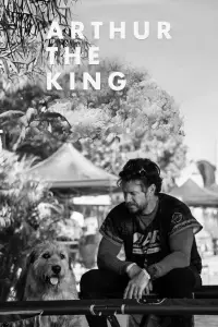 Poster to the movie "Arthur the King" #932957