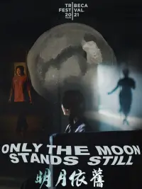 Poster to the movie "Only the Moon Stands Still" #891734