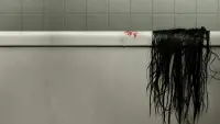 Backdrop to the movie "The Grudge" #330192