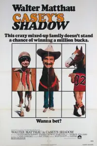 Poster to the movie "Casey