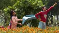 Backdrop to the movie "Superboys of Malegaon" #751807