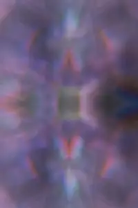 Poster to the movie "Orchid" #1008641