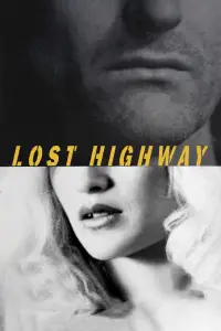 Poster to the movie "Lost Highway" #533678