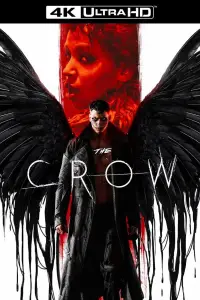 Poster to the movie "The Crow" #919342