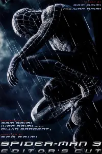 Poster to the movie "Spider-Man 3" #902031