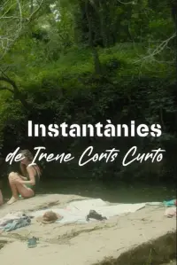 Poster to the movie "Instantànies" #792695