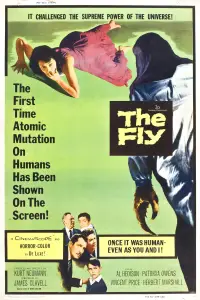 Poster to the movie "The Fly" #948524