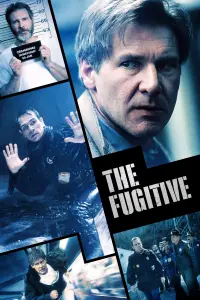 Poster to the movie "The Fugitive" #950777