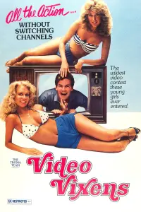 Poster to the movie "Video Vixens!" #714692