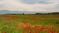 Backdrop to the movie "April" #790581