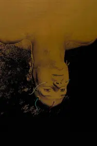 Poster to the movie "Altered States" #782191