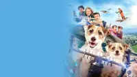 Backdrop to the movie "A Doggone Adventure" #730750