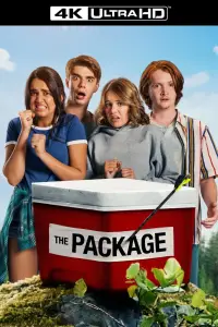 Poster to the movie "The Package" #1218255