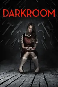 Poster to the movie "Darkroom" #1048622