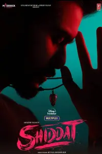 Poster to the movie "Shiddat" #782024