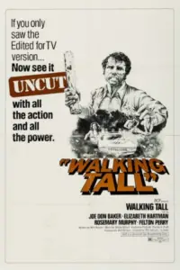 Poster to the movie "Walking Tall" #985943