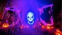 Backdrop to the movie "Haunters: The Art of the Scare" #730072