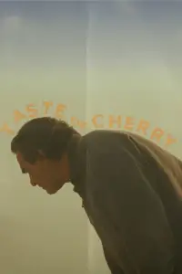 Poster to the movie "Taste of Cherry" #937869