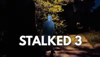Backdrop to the movie "STALKED 3" #829032