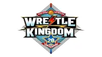 Backdrop to the movie "NJPW Wrestle Kingdom 20" #1120728