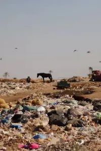 Poster to the movie "The Danger That Saves" #838099