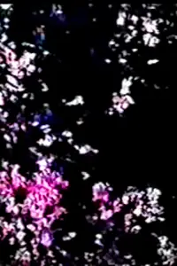 Poster to the movie "Tryst Haunt" #1097348