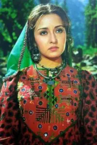Poster to the movie "Henna" #729541