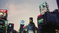 Backdrop to the movie "A New Love in Tokyo" #799989