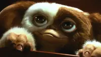 Backdrop to the movie "Gremlins" #691966
