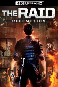 Poster to the movie "The Raid" #939864