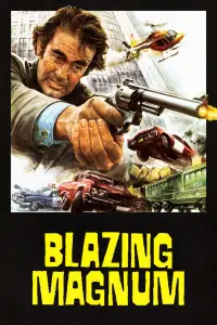 Poster to the movie "Shadows in an Empty Room" #1133980