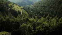 Backdrop to the movie "Dorians" #778012