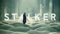 Backdrop to the movie "Stalker" #734098