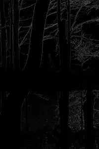 Poster to the movie "The Heart of the Wood" #720044
